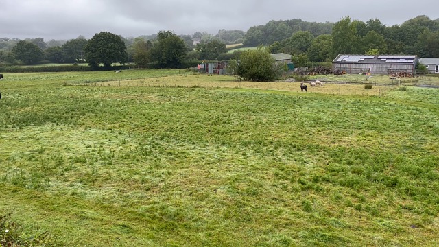 tractor, field, grass cutting