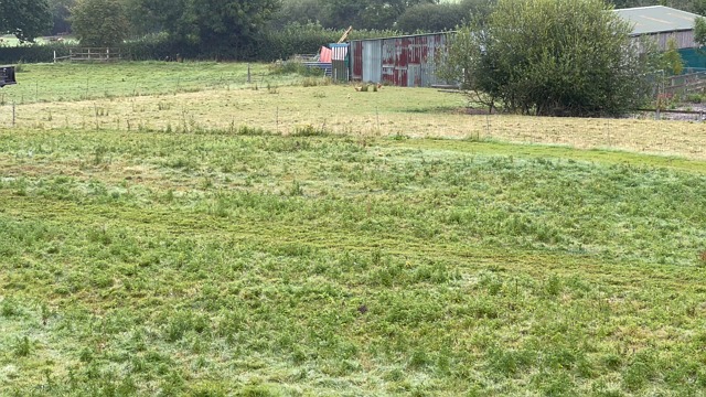 tractor, field, mowing