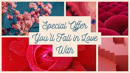 Valentine's Day Special Offer